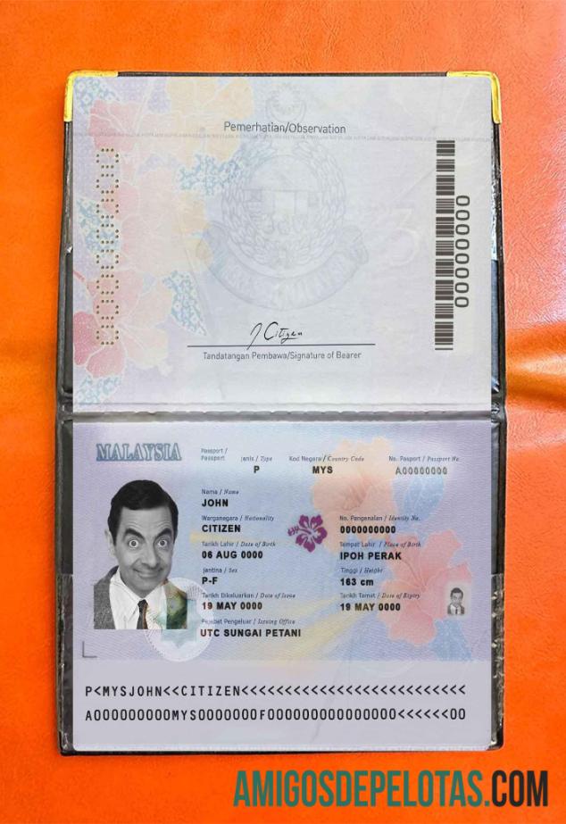 Passaporte da Malásia (presente em 2017) Visual fotográfico baixar para verificação